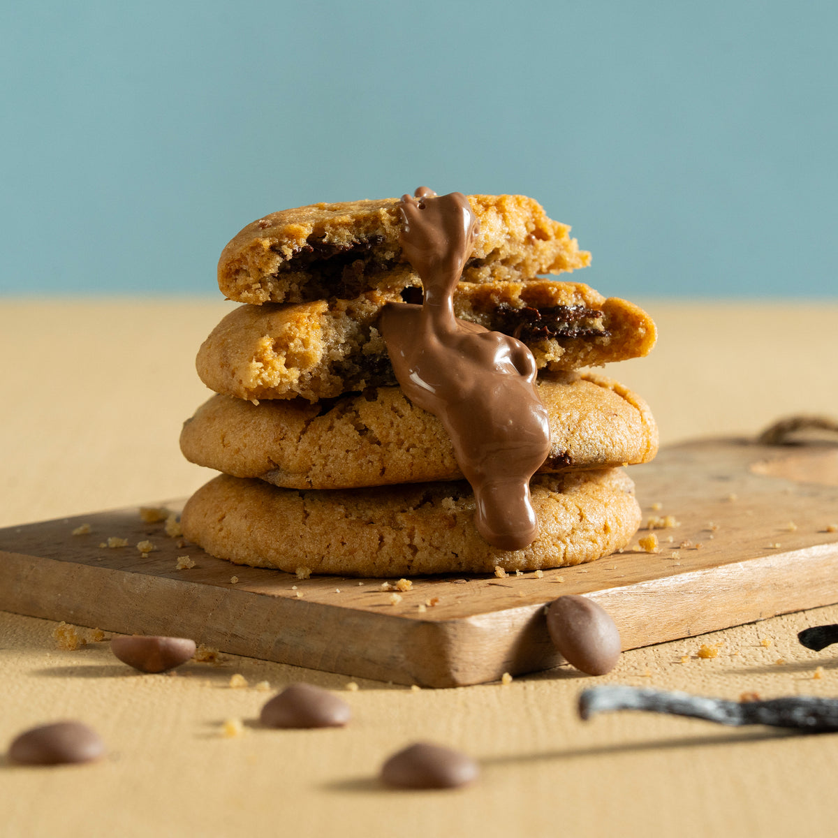 Chocolate Chip Discs